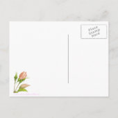 Roze botanisch Roos Blank KunstBriefkaart Briefkaart (Achterkant)
