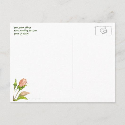 Roze botanisch Roos Editable Return Address Briefkaart (Achterkant)