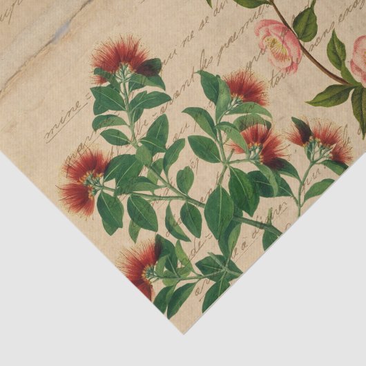  Roze Botanische Ephemera Tissuepapier (Detail)