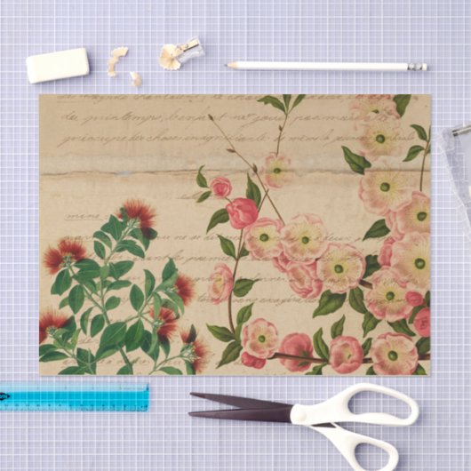 Roze Botanische Ephemera Tissuepapier (Craft)