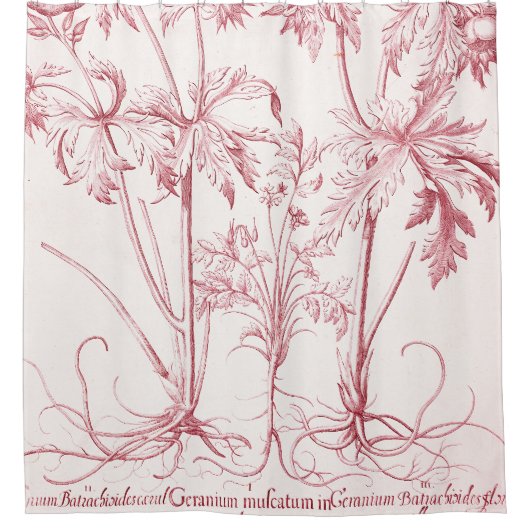 Roze  Botanische Kunst Douchegordijn (Voorkant)