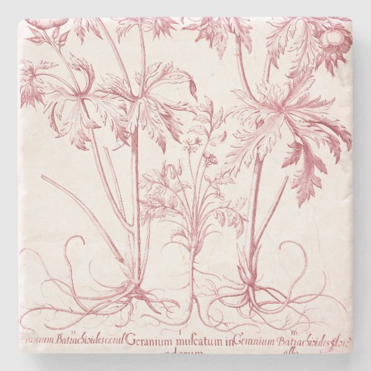 Roze  Botanische Kunst Stenen Onderzetter (Voorkant)