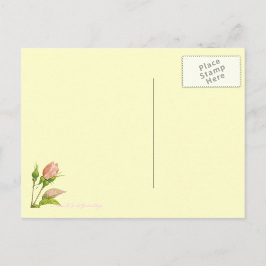 Roze botanische Rozen Blank Briefkaart (Achterkant)