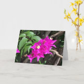 Roze Bougainvillea blanco Kaart (Gele Bloem)