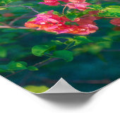Roze Bougainvillea Bloem Fotografie Wandkunst Pos Poster (Hoek)
