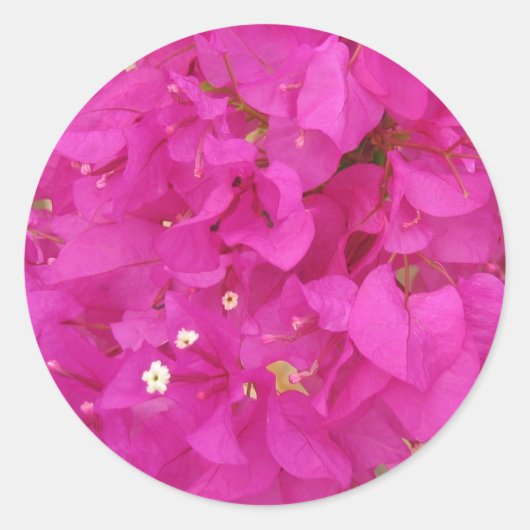 Roze Bougainvillea Bloem (Griekenland) Ronde Sticker (Voorkant)