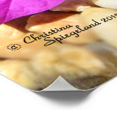 Roze Bougainvillea bloemen Poster (Hoek)