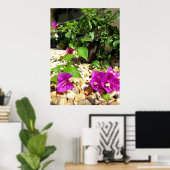 Roze Bougainvillea bloemen Poster (Thuiskantoor)