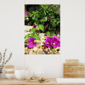 Roze Bougainvillea bloemen Poster (Keuken)
