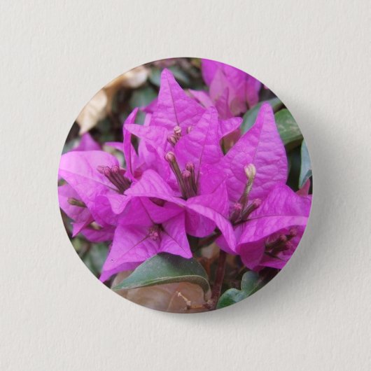 Roze Bougainvillea Flowers Button (Voorkant)