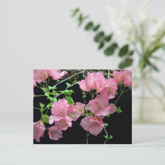 Roze Bouganvilla Clusters Briefkaart (Staand voorkant)