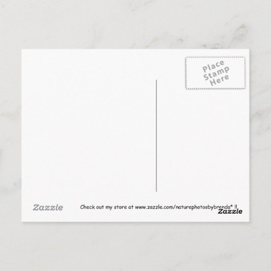 Roze Bouganvilla Clusters Briefkaart (Achterkant)