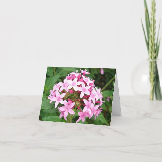 Roze bouquet kaart (Voorkant)
