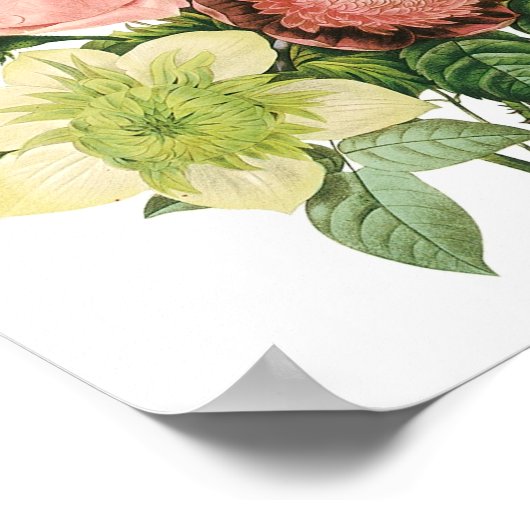 Roze  Bouquet Poster (Hoek)