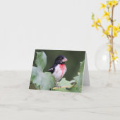 Roze-Breasted Grosbeak - Joe Sweeney - kaart (Gele Bloem)
