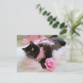 Roze Briefkaart (Staand voorkant)