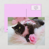 Roze Briefkaart (Voorkant / Achterkant)