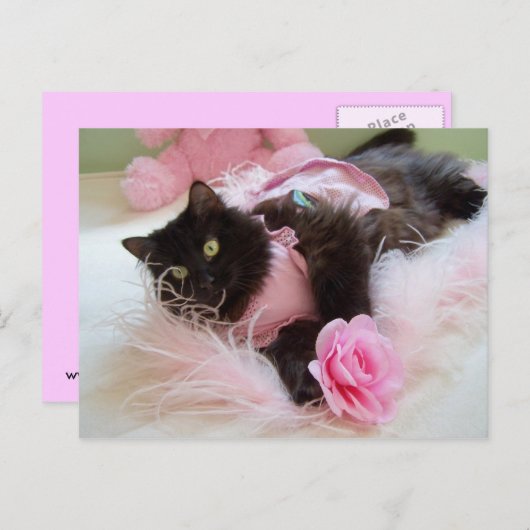 Roze Briefkaart (Voorkant / Achterkant)