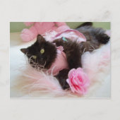 Roze Briefkaart (Voorkant)