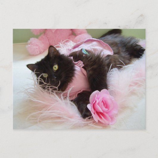 Roze Briefkaart (Voorkant)