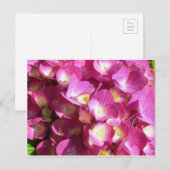 Roze briefkaart (Voorkant / Achterkant)