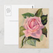  Roze Briefkaart (Voorkant / Achterkant)