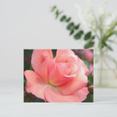 Roze Briefkaart (Staand voorkant)