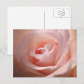 Roze Briefkaart (Voorkant / Achterkant)