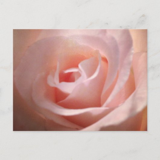 Roze Briefkaart (Voorkant)