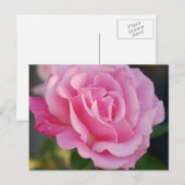 Roze Briefkaart (Voorkant / Achterkant)