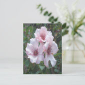 Roze Briefkaart (Staand voorkant)