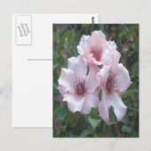 Roze Briefkaart (Voorkant / Achterkant)