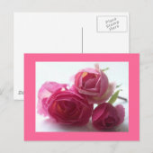 Roze Briefkaart (Voorkant / Achterkant)
