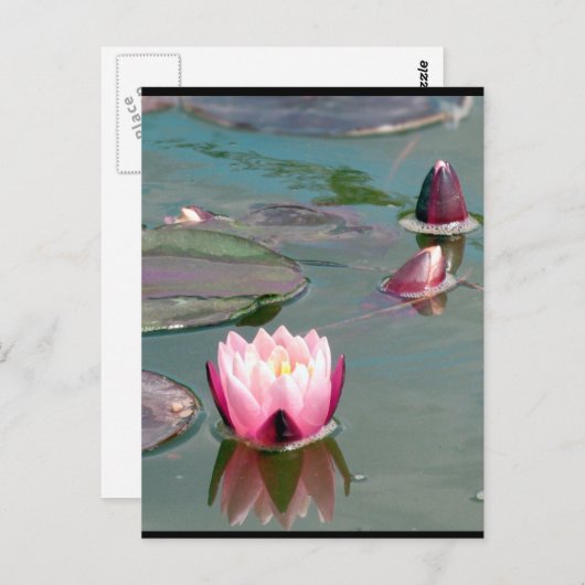 Roze briefkaart (Voorkant / Achterkant)