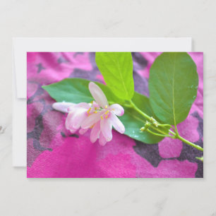 Roze briefkaart