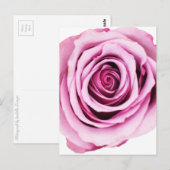 Roze Briefkaart (Voorkant / Achterkant)