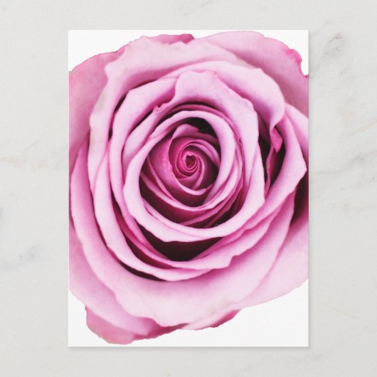 Roze Briefkaart (Voorkant)