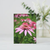 Roze Briefkaart (Staand voorkant)