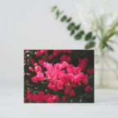 Roze briefkaart (Staand voorkant)