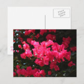 Roze briefkaart (Voorkant / Achterkant)