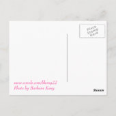 Roze briefkaart (Achterkant)