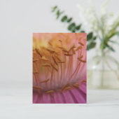 Roze Briefkaart (Staand voorkant)