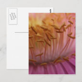 Roze Briefkaart (Voorkant / Achterkant)