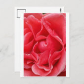 Roze Briefkaart (Voorkant / Achterkant)