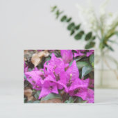 Roze Briefkaart Bougainvillea Flowers (Staand voorkant)