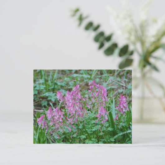Roze Briefkaart Corydalis Flowers (Staand voorkant)
