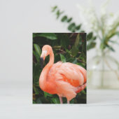 Roze Briefkaart Flamingo (Staand voorkant)