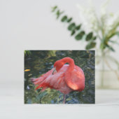 Roze Briefkaart Flamingo (Staand voorkant)