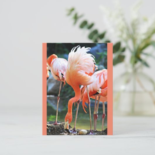 Roze Briefkaart Flamingo (Staand voorkant)