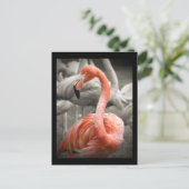 Roze briefkaart Flamingo (Staand voorkant)